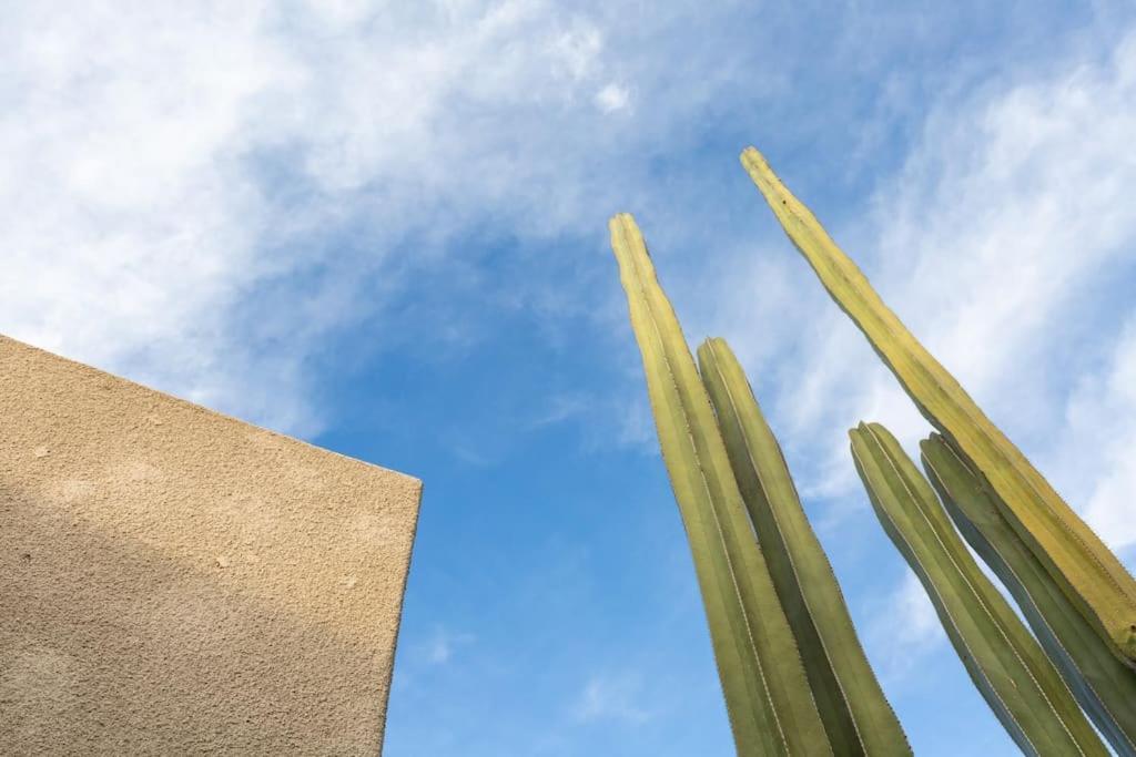 Desert Princess Villa Palm Springs Area Cathedral City Extérieur photo
